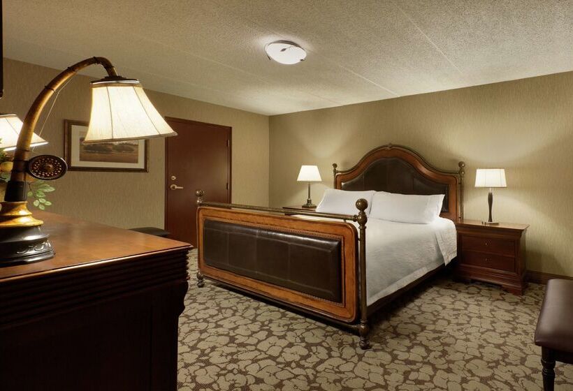 בית מלון כפרי Hilton Garden Inn Rochester/pittsford