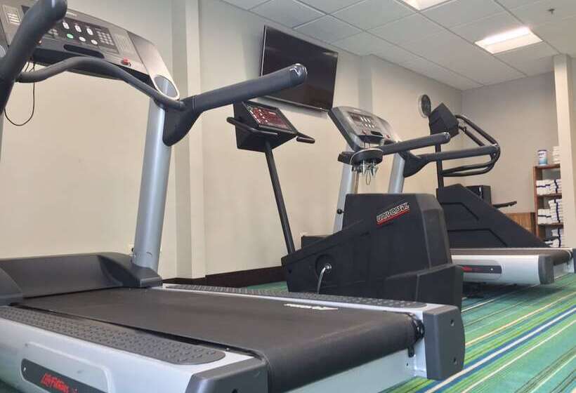 هتل Holiday Inn Express Chicago Nw   Arlington Heights, An Ihg