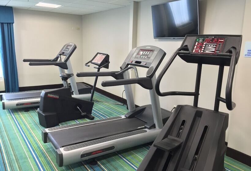 هتل Holiday Inn Express Chicago Nw   Arlington Heights, An Ihg