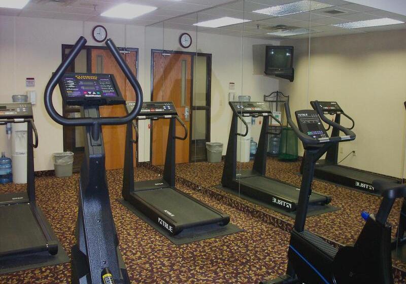 فندق Holiday Inn Express Big Rapids, An Ihg