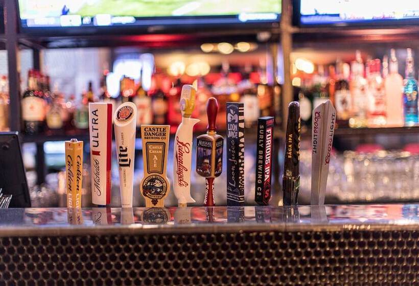 هتل Holiday Inn St. Paul Downtown, An Ihg