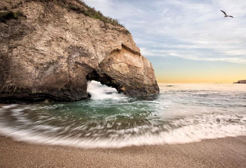 فندق Inn At The Cove