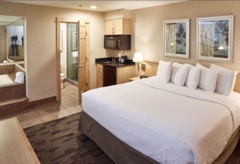 Livinn Hotel Minneapolis North / Fridley