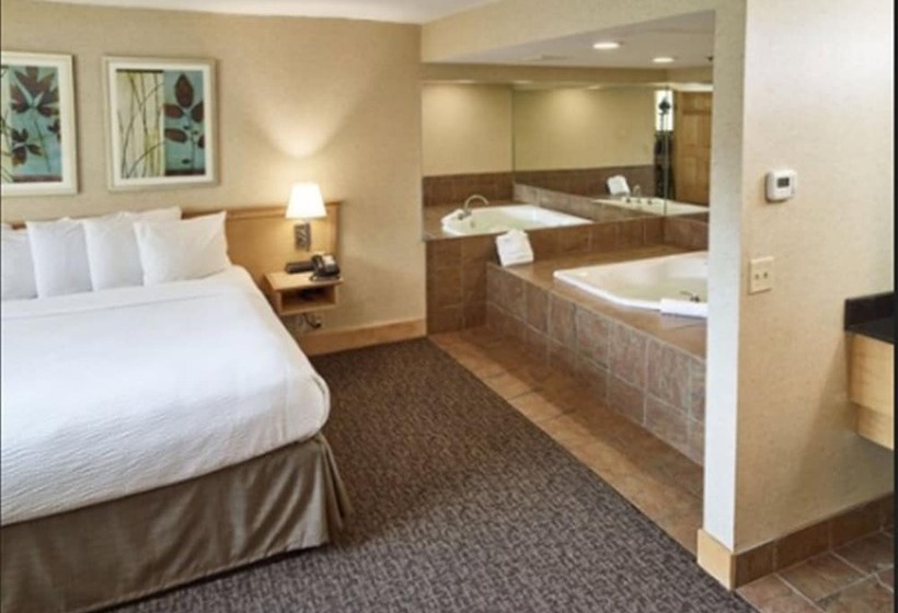 Livinn Hotel Minneapolis North / Fridley