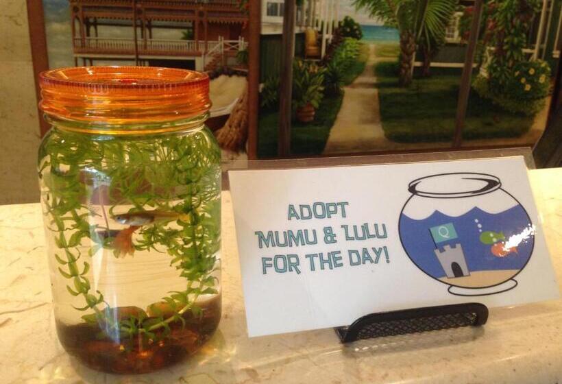 Luana Waikiki Hotel & Suites