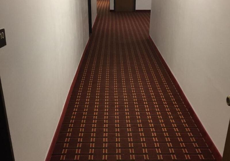 酒店 Luxury Inn & Suites