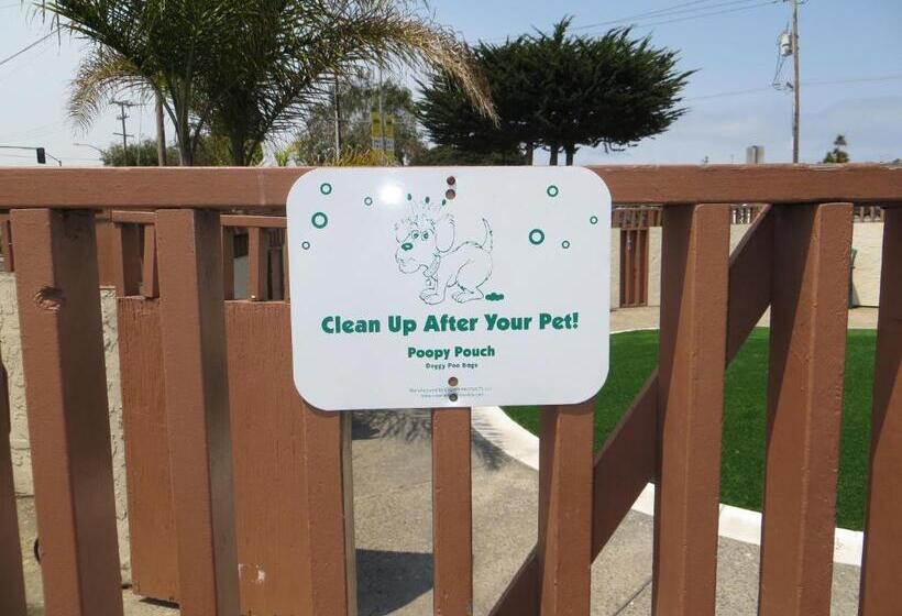 فندق Pacific Inn Monterey