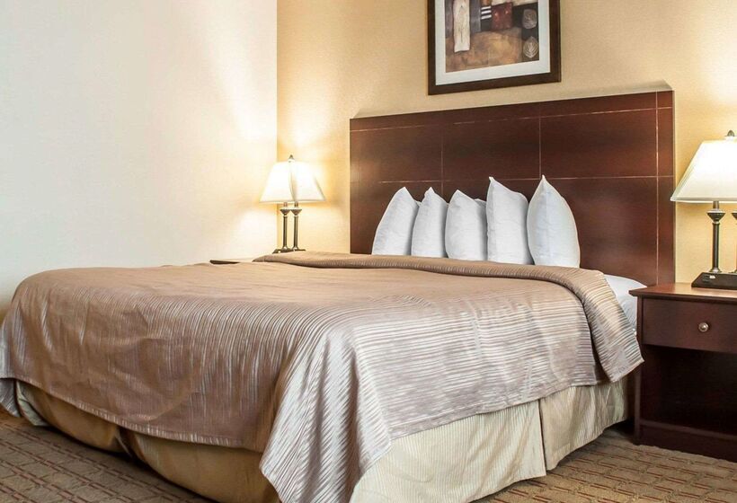 فندق Quality Inn Airport