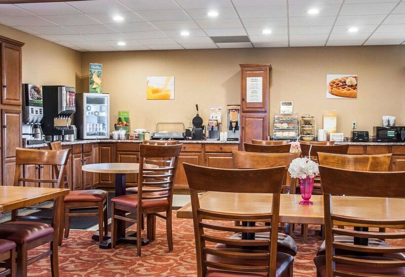 فندق Quality Inn Airport