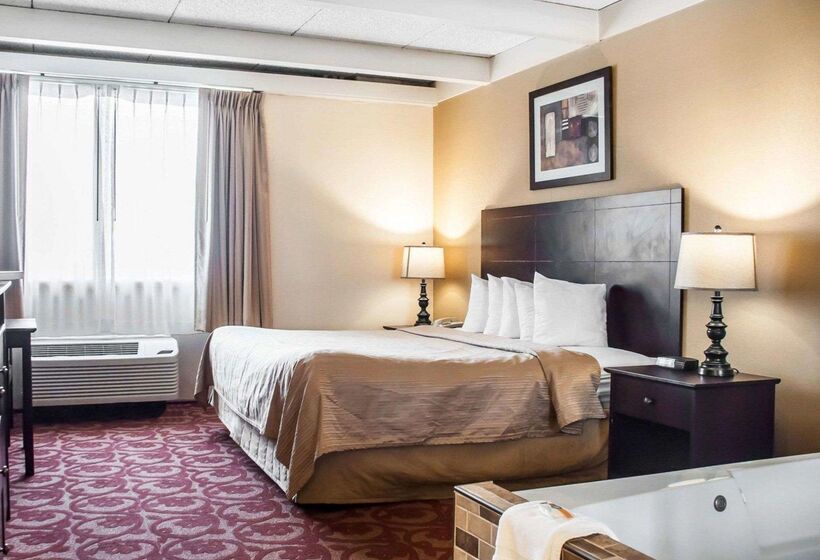 فندق Quality Inn Airport