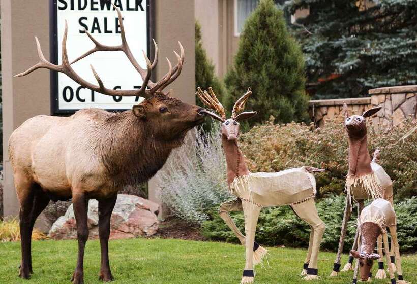 בית מלון כפרי Quality Inn Near Rocky Mountain National Park