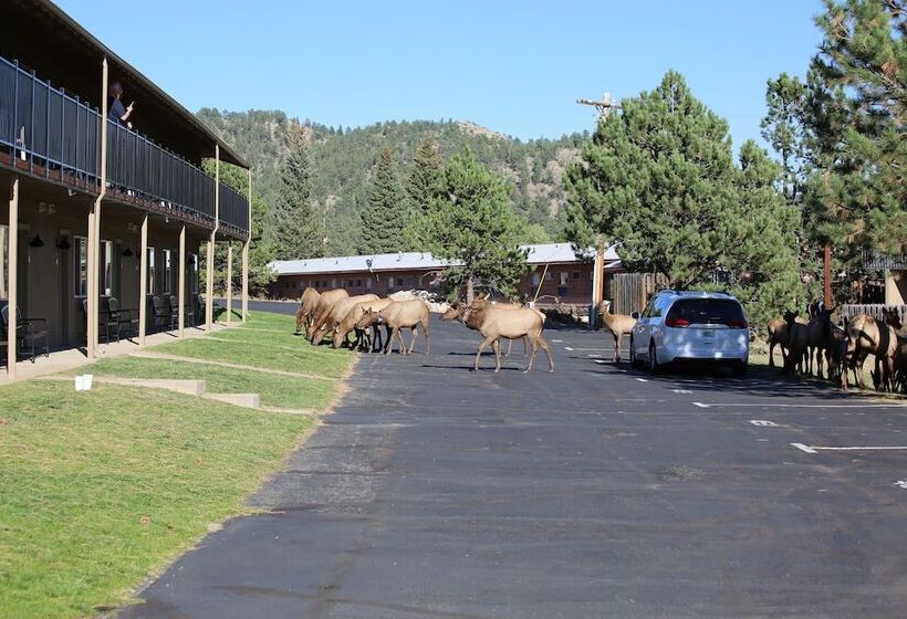 בית מלון כפרי Quality Inn Near Rocky Mountain National Park