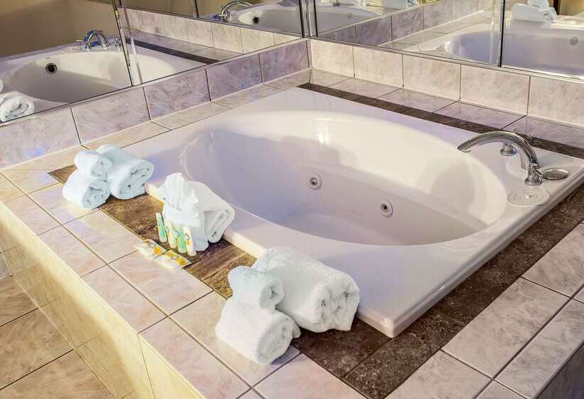 هتل Quality Inn O'Hare Airport