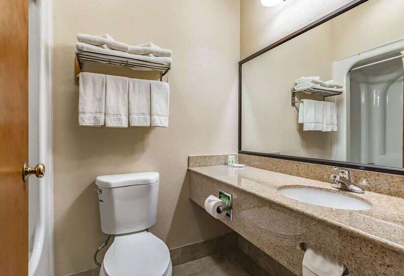 فندق Quality Inn Schenectady  Albany