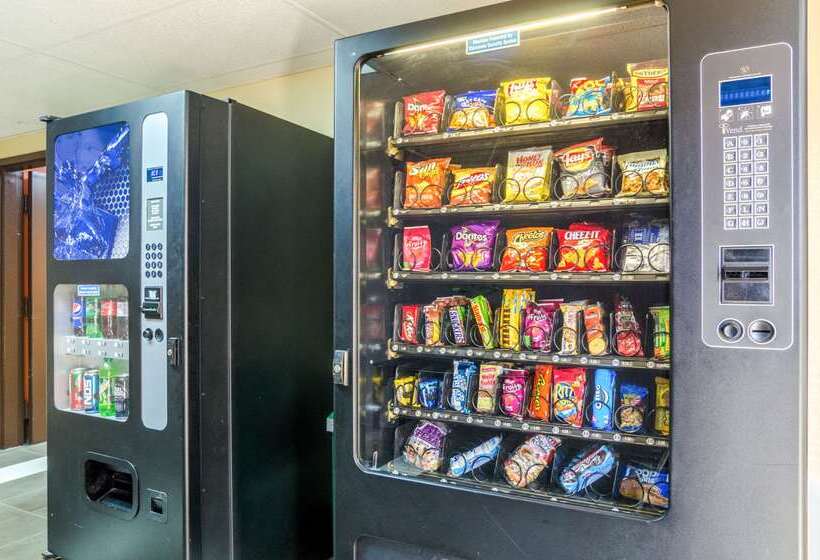 酒店 Quality Inn South