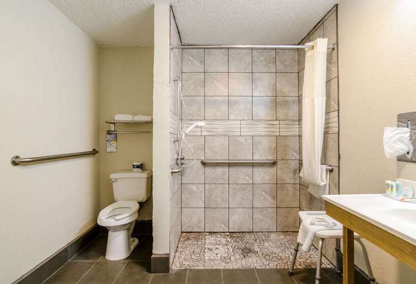 ホテル Quality Inn South