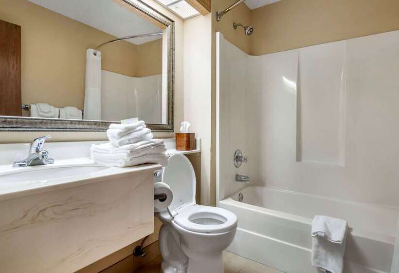 酒店 Quality Inn St Cloud West