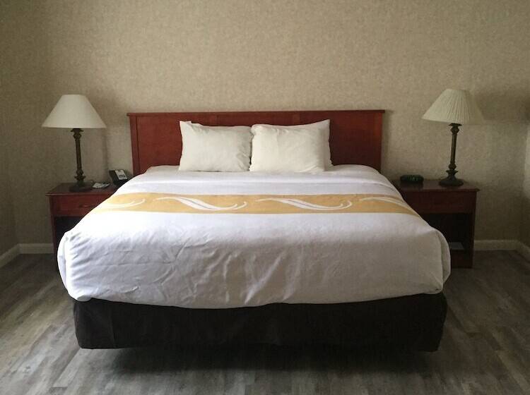 酒店 Quality Inn & Suites Downtown   University Area