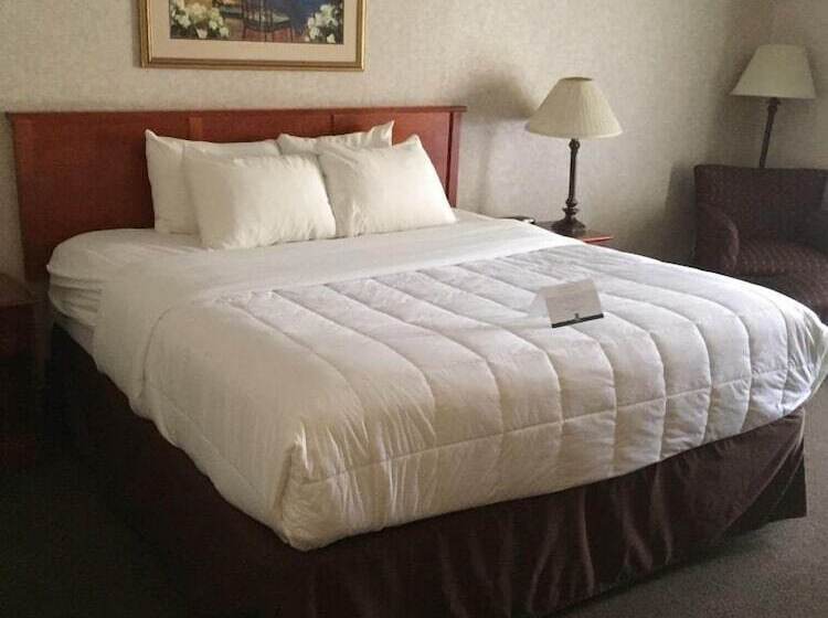 酒店 Quality Inn & Suites Downtown   University Area