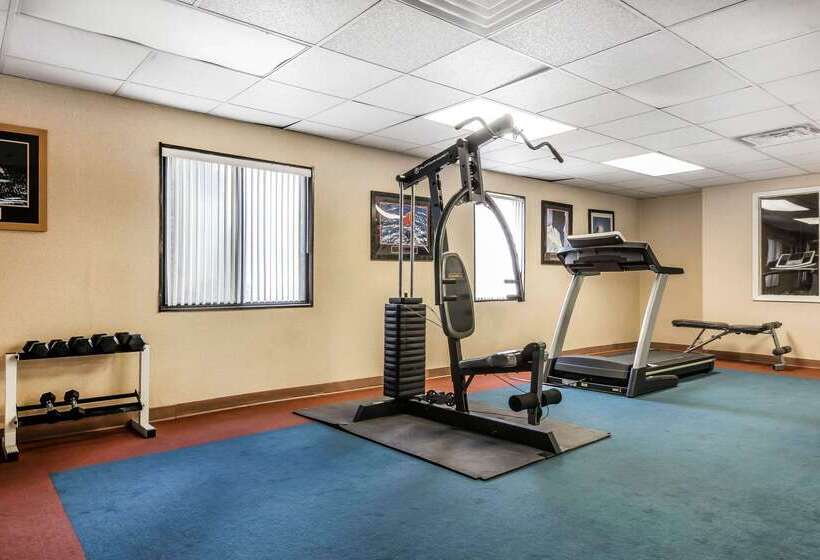 Отель Quality Inn & Suites Binghamton Vestal