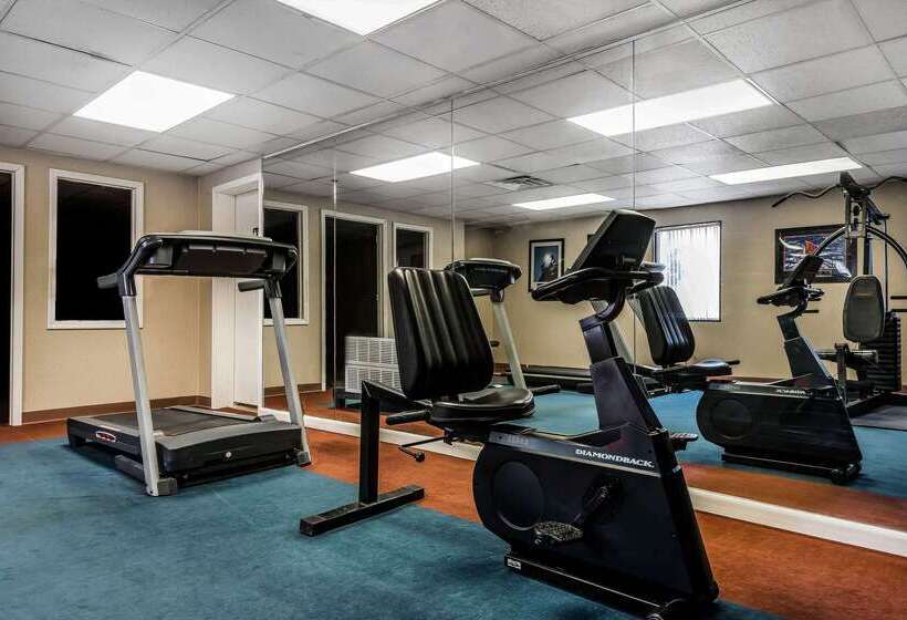 Отель Quality Inn & Suites Binghamton Vestal