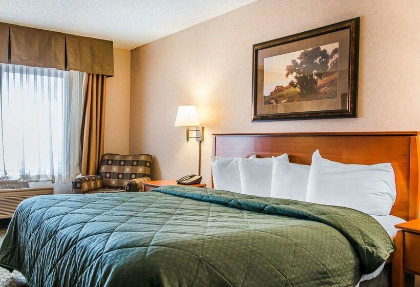 فندق Quality Inn & Suites