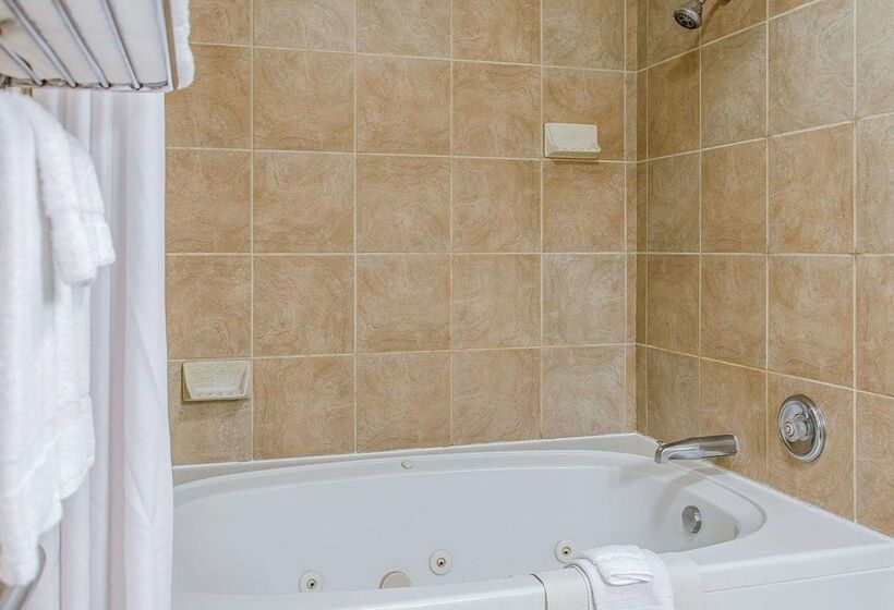 فندق Quality Inn & Suites