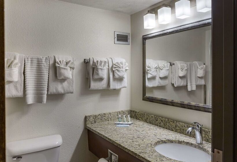 فندق Quality Inn & Suites