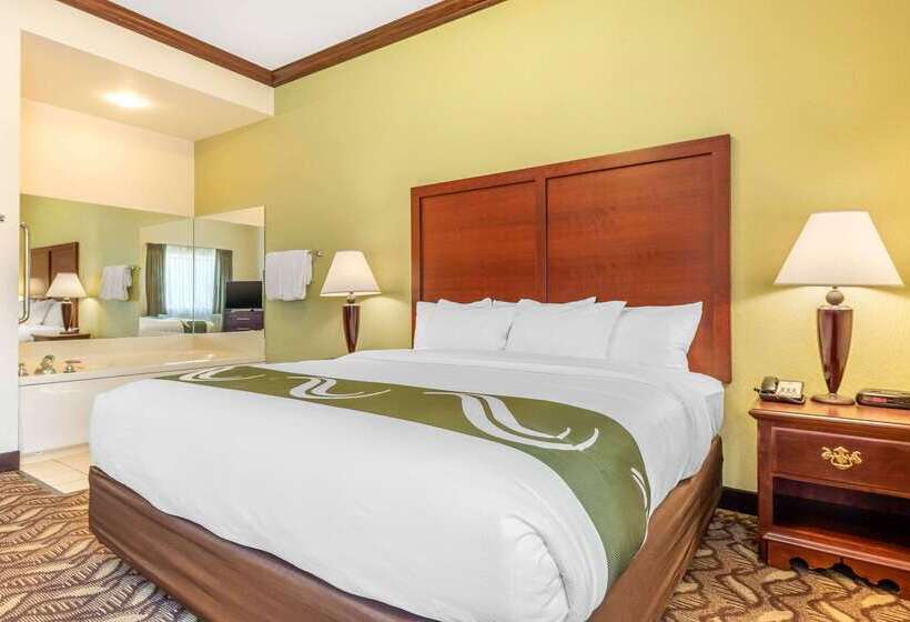 فندق Quality Inn & Suites
