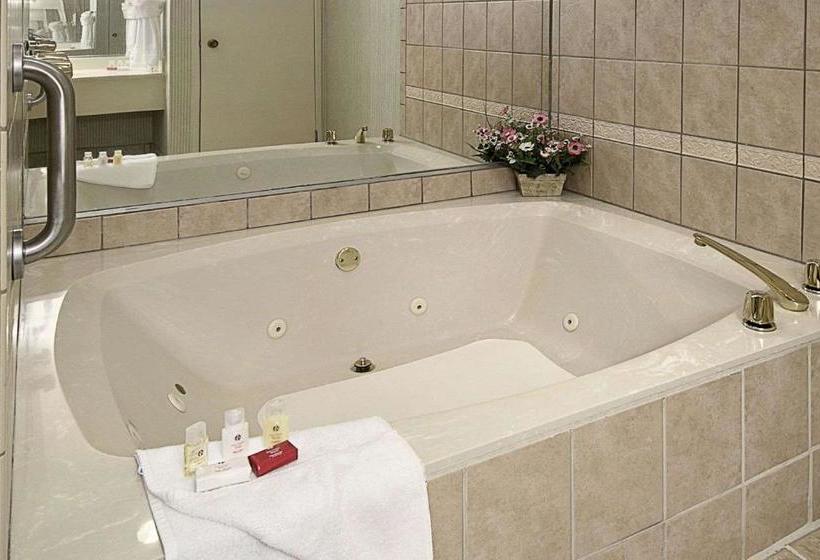 فندق Ramada By Wyndham Asheville Southeast