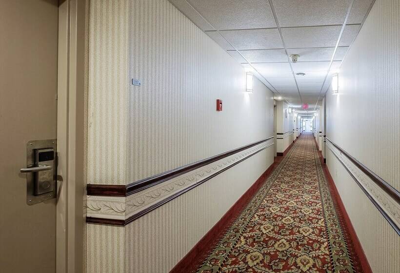 ホテル Red Roof Inn Hartford  Vernon