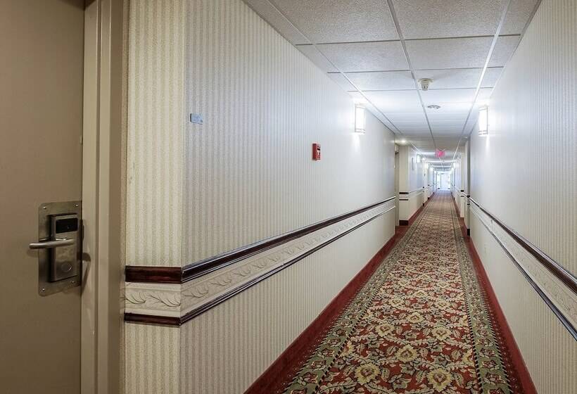 ホテル Red Roof Inn Hartford  Vernon