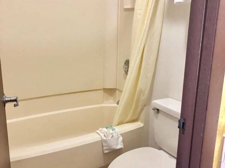 Отель Regency Inn