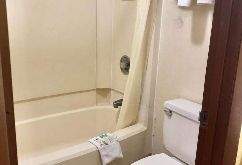 Отель Regency Inn