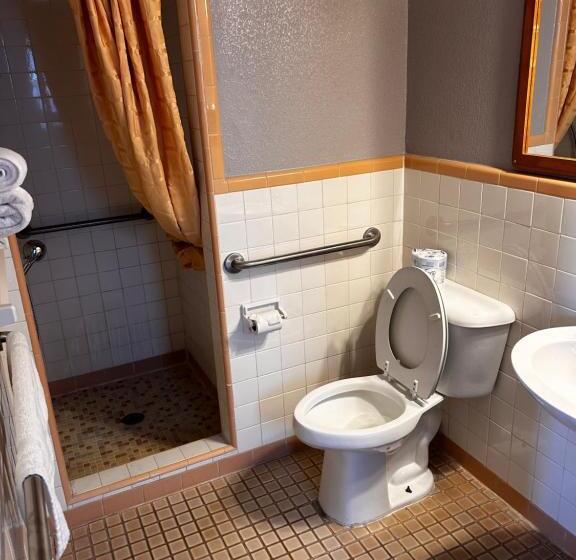 Отель River Forest Inn