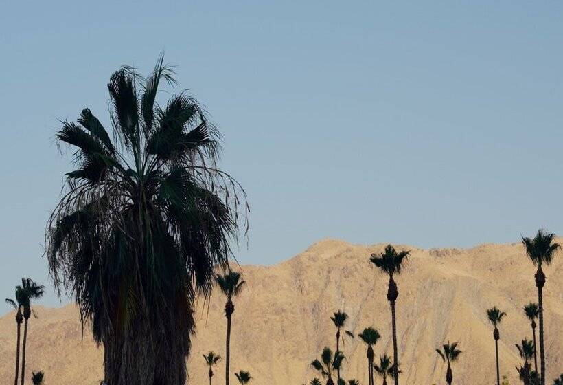 ホテル Royal Sun Palm Springs
