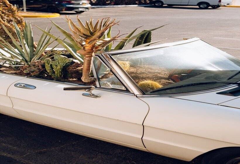 ホテル Royal Sun Palm Springs