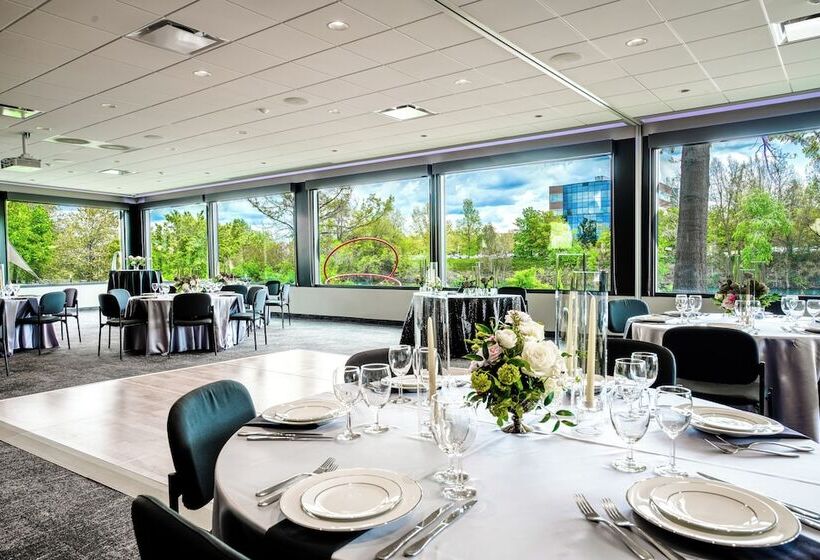 Отель Ruby River