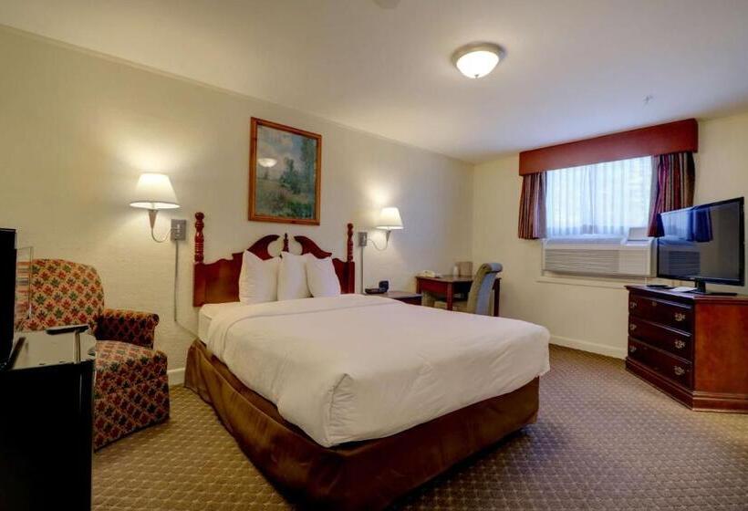 فندق Senator Inn & Spa