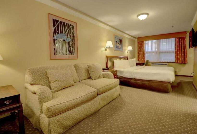 فندق Senator Inn & Spa