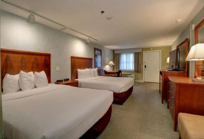 فندق Senator Inn & Spa