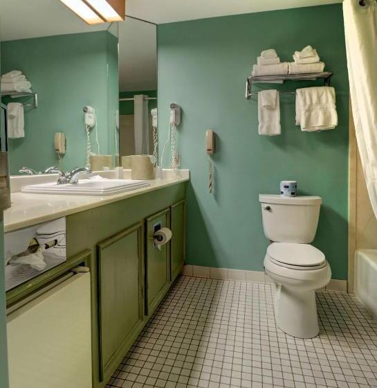 فندق Senator Inn & Spa