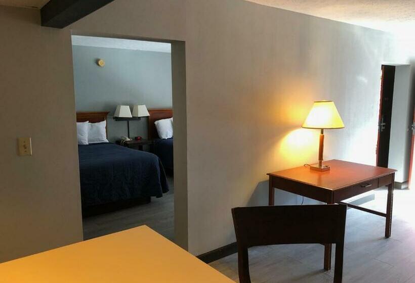 هتل Springfield Inn Tn