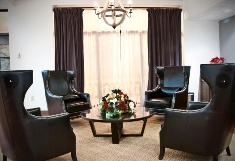 هتل Springfield Inn Tn