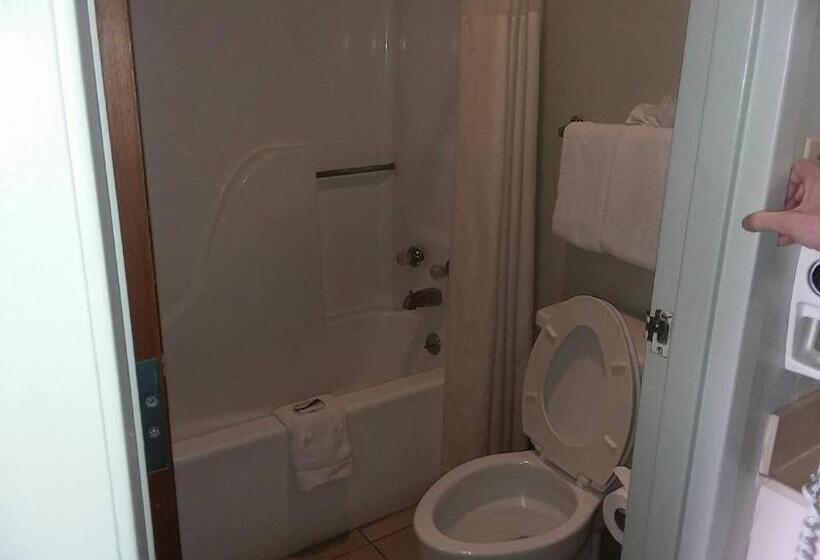 هتل Springfield Inn Tn