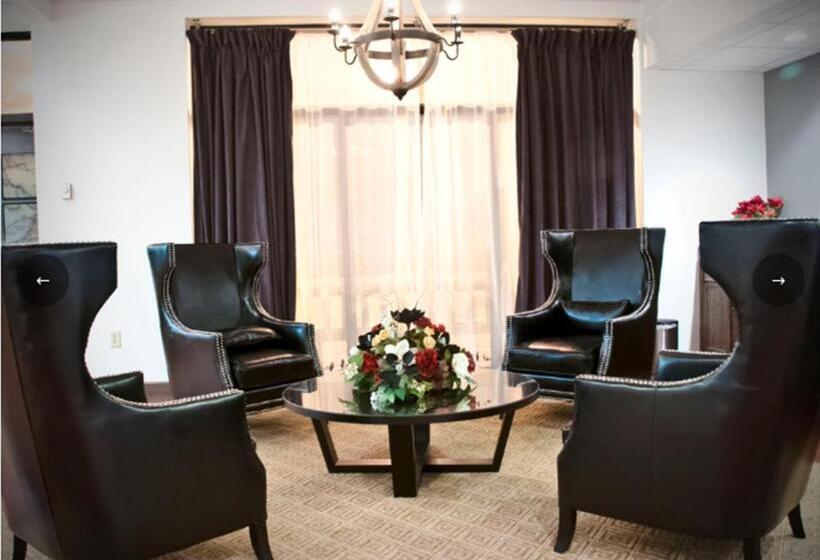 هتل Springfield Inn Tn