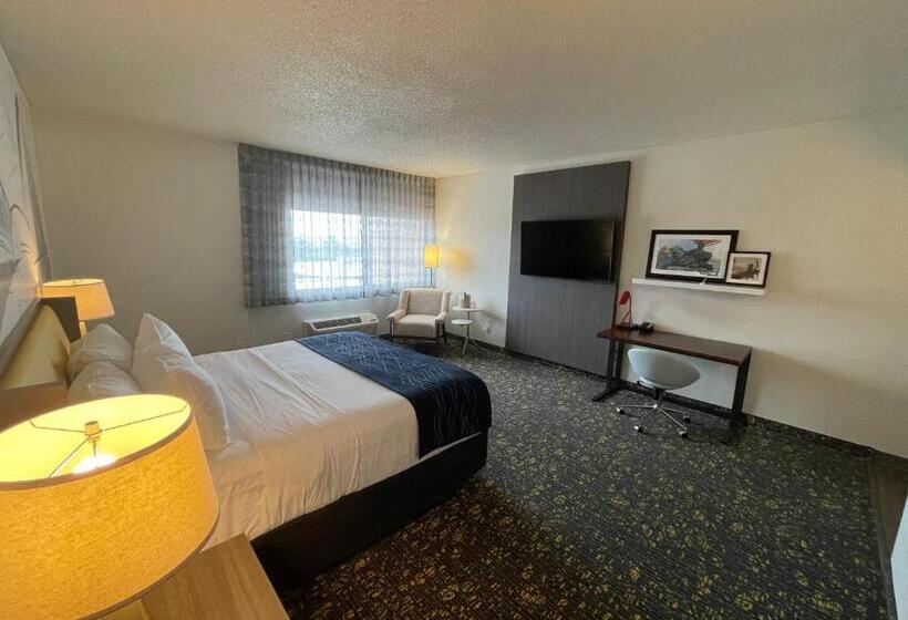 호텔 Saint Louis Airport