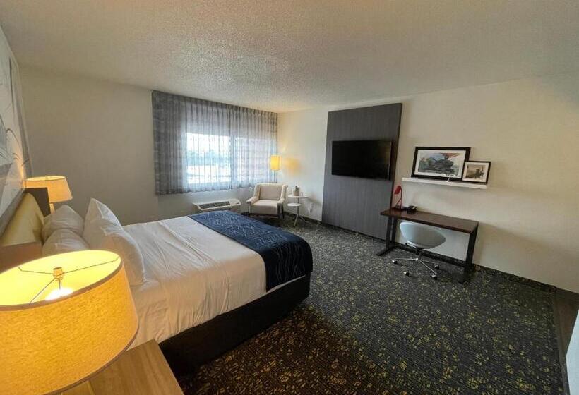 호텔 Saint Louis Airport