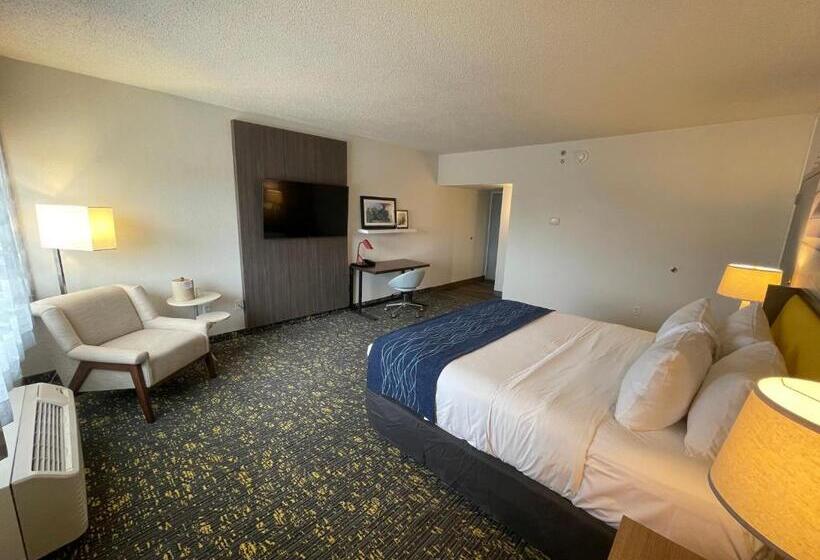 호텔 Saint Louis Airport