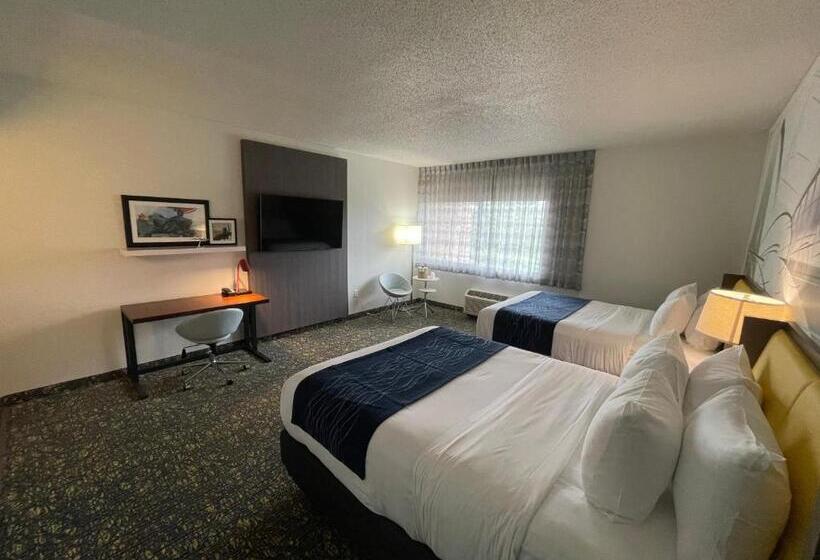 호텔 Saint Louis Airport